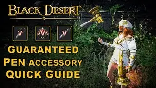 ✔️ BDO | Jetina - Guaranteed PEN Accessory | Quick Guide |