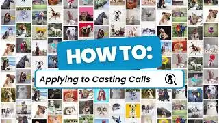 Applying to Casting Calls on Animal List and Pets on Q 🐾