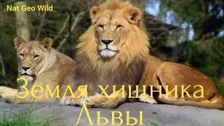Nat Geo Wild.Земля хищника.Львы.