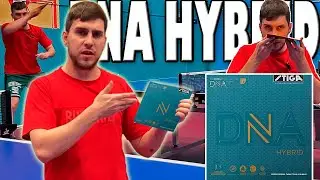 Гибрид нового поколения! Stiga DNA HYBRID H ! Обзор на накладку для настольного тенниса