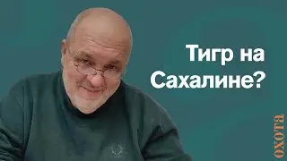 Тигр на Сахалине? Валерий Кузенков о местообитании тигра.