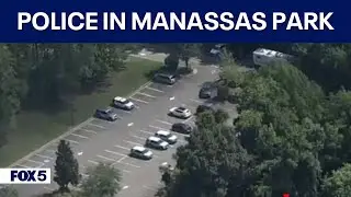 POLICE PRESENCE AT MANASSAS PARK