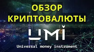 Криптовалюта UMI - Обзор, Стейкинг, Смарт-контракты