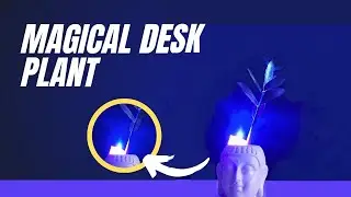 Plant Sensitive Light | Magical desk plant Light | Indian LifeHacker