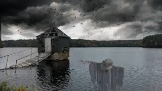 (FREE) 