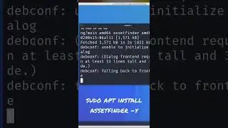 How to install assetfinder in kali Linux #kalilinux #assetfinder #tomnomnom