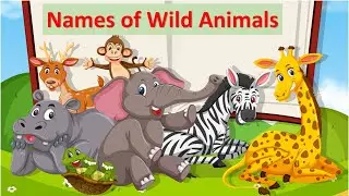 Names of Wild Animals |