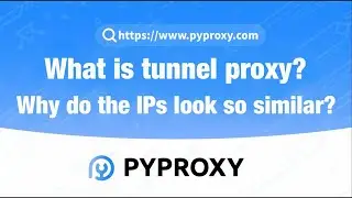 PYPROXY|What is tunnel proxy？ Why do the IPs look so similar？