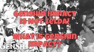 Genshin Impact IS NOT Zelda! - What Is Genshin Impact?