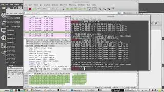 ICMP packet format explained with Wireshark | IP Header Ethernet ICMP Header | timestamp Linux