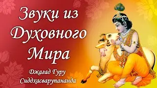 Мадана Мохана Мурари - киртан из трансцендентного мира | Джагад Гуру Сиддхасварупананда Парамахамса