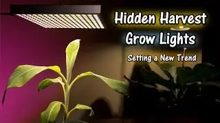 Hidden Harvest Grow Lights | Grow Test to Follow...