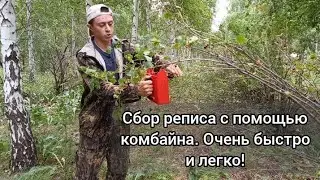 Самый быстрый способ по сбору реписа, смородины. Полное ведро реписа за полчаса с помощью комбайна