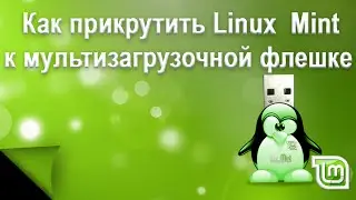 Как установить Linux Mint на мультизагрузочную флешку.