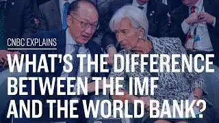 Whats the difference between the IMF and the World Bank? | CNBC Explains