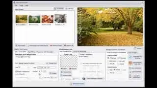 How to add Copyright Symbol and Text Watermark to Multiple Photos