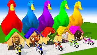 Paint Animals Cow Elephant Tiger Gorilla Buffalo T-Rex Wild Animals Cage Game