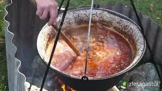 Zvěřinový guláš