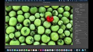 Simple Photography Composition Enhancements