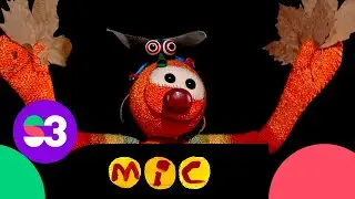 Amagats a la pinassa - El Mic i els seus amics