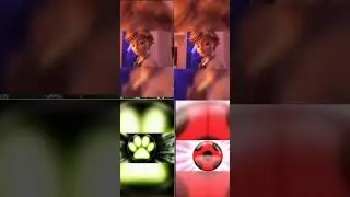 какой шип из леди баг и супер кота вам нравится больше