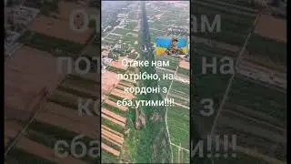 Крокодилів ще туди