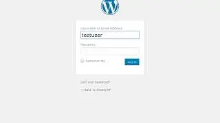 Automated website functionality test - steadywp