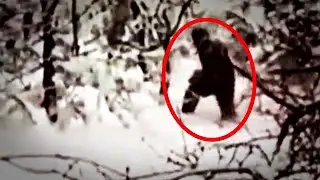 5 Случаев Существования СНЕЖНОГО ЧЕЛОВЕКА (ЙЕТИ)!!!
