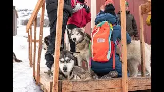 Ollie Pack Visits Rehab, Rescue, and Dog Sledding Operation in Park City