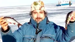 Ловля плотвы на Ладоге по последнему льду. Закрытие ладожского ледового сезона-2018.