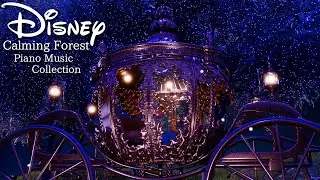 Disney Calming Forest Piano Music Collection (No Mid-roll Ads)