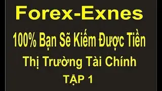 Forex-Exnes TẬP 1,chiến thắng 100%,nếu bạn làm đúng nguyên tắc, nguyên tắc để thành công trong Forex