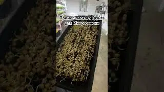 Грунт для  Микрозелени