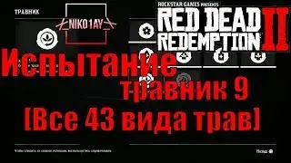 Red Dead Redemption 2 Испытание травник 9 [Все 43 вида трав]