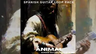 [FREE] GUITAR SAMPLE PACK/LOOP KIT  - 