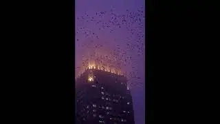 "rain" pierre bourne x young nudy type beat 2022