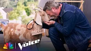 The World's Biggest GOATs Celebrate Blake Shelton, GOAT of The Voice | NBC