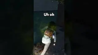 oh hello I didn’t see you there