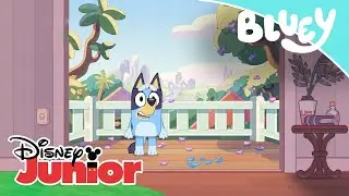 Bluey: Bienvenidos al teatro | Disney Junior Oficial