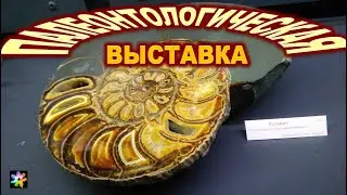 🦐🐾 Палеонтология. Выставка ископаемых останков