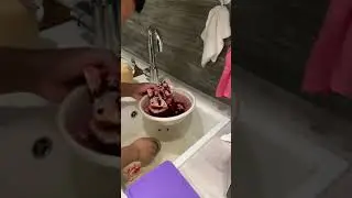 #tiktok