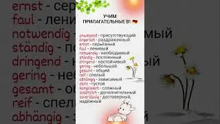 Немецкий язык В1. Прилагательные в немецком языке.