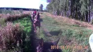 Выезд в поля август 2015г.