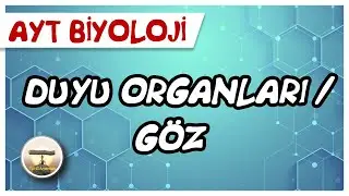 AYT Biyoloji Duyu Organları / Göz #sayfa40