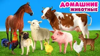 Учим домашних животных для детей Угадай кто это Звуки животных для самых маленьких