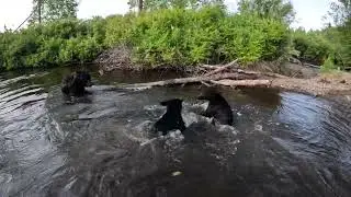 Обычное дело, Дуся потерялась.
