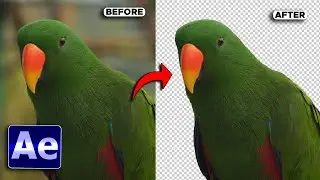 After Effects Video Background Remove Tutorial