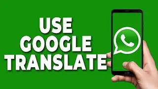 How to Use Google Translate in Whatsapp