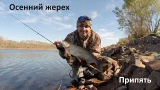 Осенний жерех. Река Припять. Fishing for Asp. GoPro