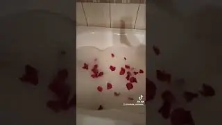 13 сентября 2024 г.